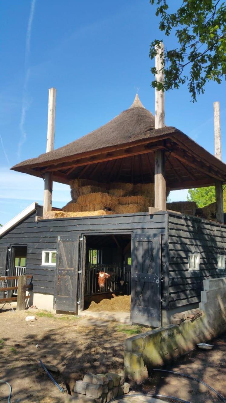 Landgoed Groot Boerle Bed and Breakfast Wijhe Eksteriør billede