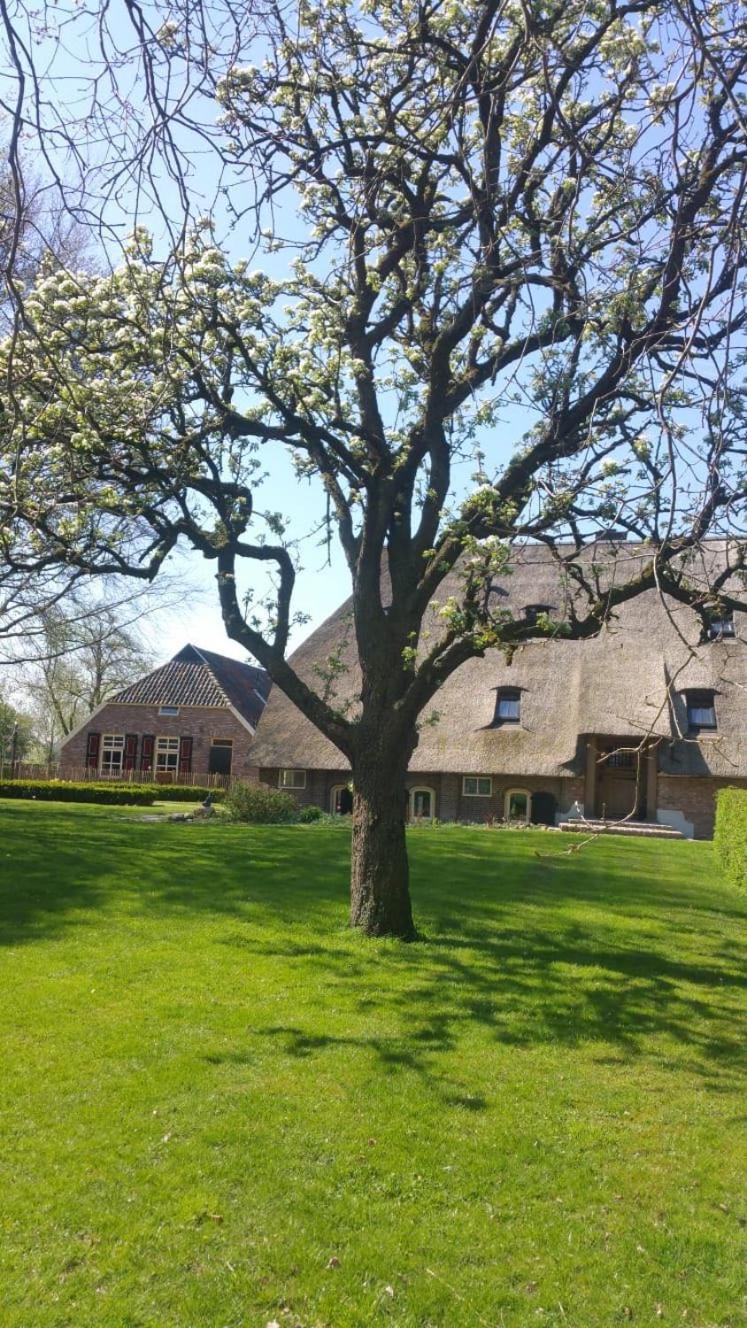 Landgoed Groot Boerle Bed and Breakfast Wijhe Eksteriør billede