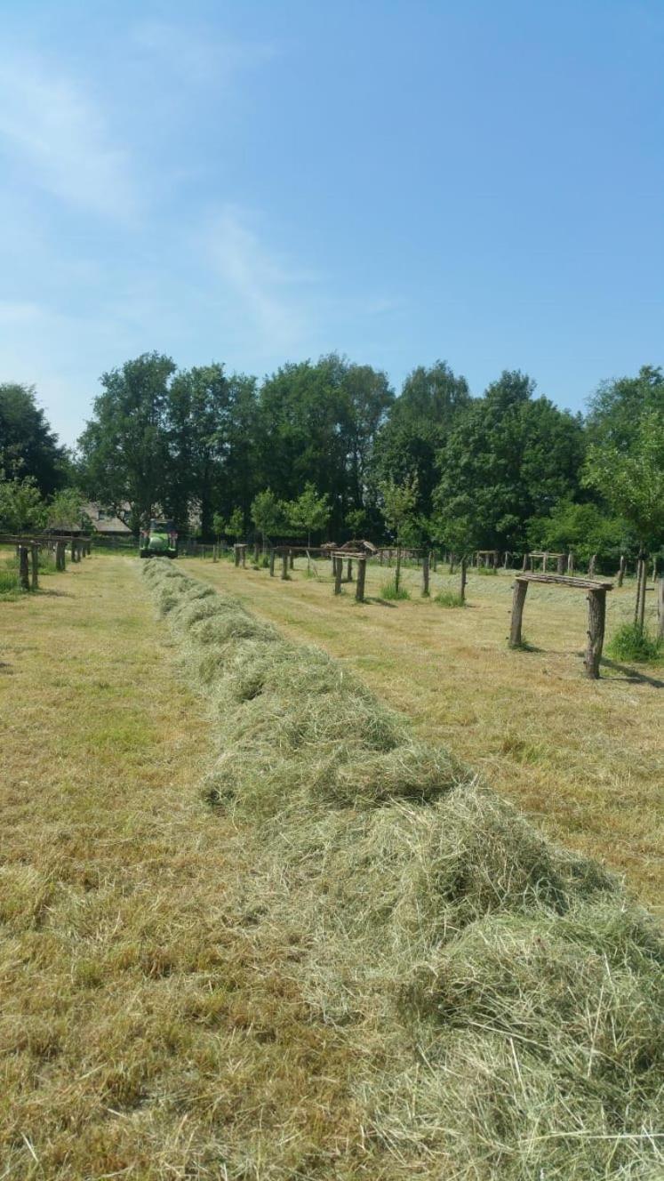 Landgoed Groot Boerle Bed and Breakfast Wijhe Eksteriør billede